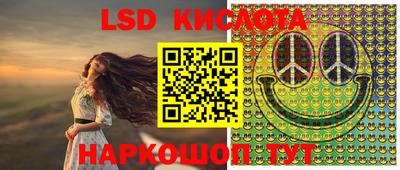 индика Обь
