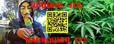 индика Обь