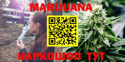 индика Обь