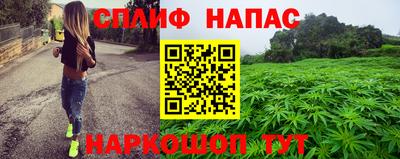 индика Обь
