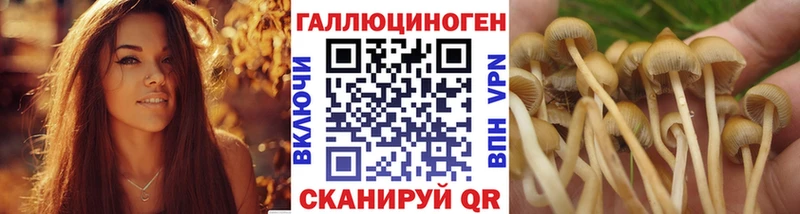 мега как войти  Феодосия  Галлюциногенные грибы Cubensis  продажа наркотиков 