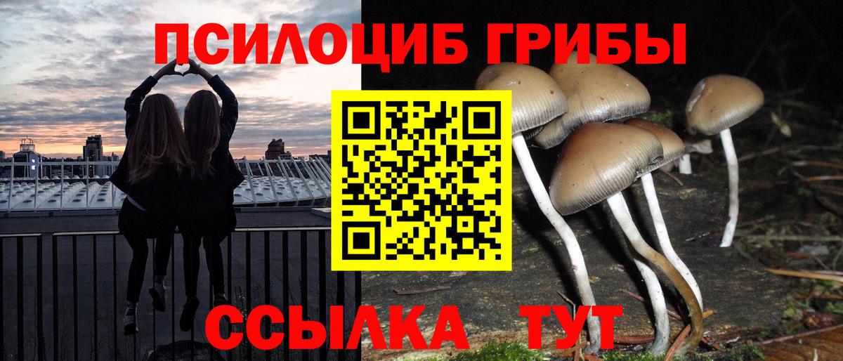 Псилоцибиновые грибы мицелий Феодосия