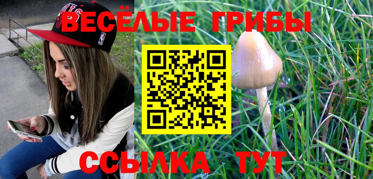 Псилоцибиновые грибы Psilocybine cubensis  сколько стоит  Феодосия  Вход с VPN  Галлюциногенные грибы Psilocybine cubensis 
